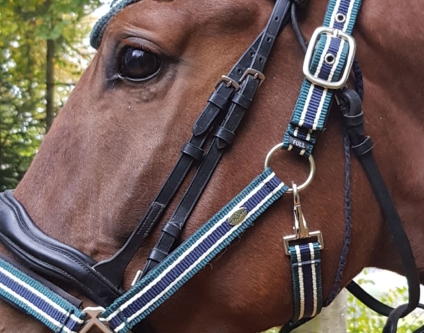 Low-Level-Laser Therapie bei meinem Pferd Finsbury